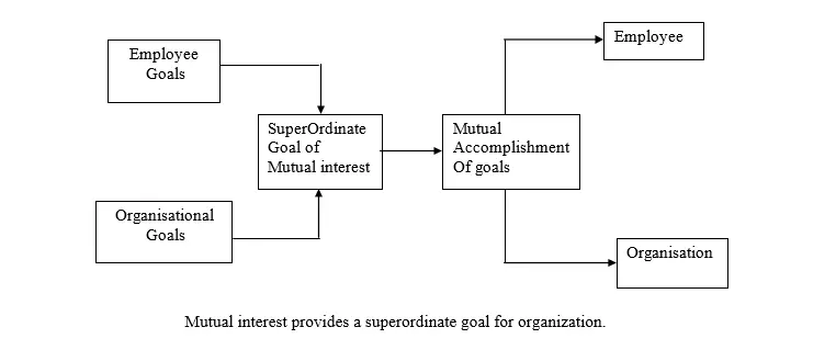 Mutual interest provides a superordinate goal for organization