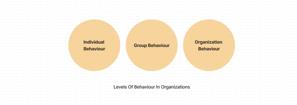 What is Organizational Behaviour? Features and Scope