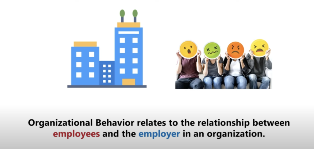 Approaches to Organizational Behaviour